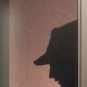 Meet your Posher, Charles-antoine